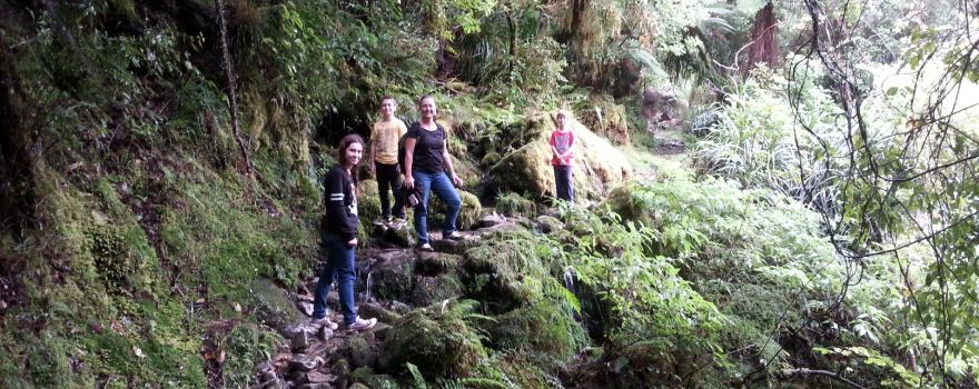 Fox River Cave Walk