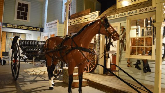 Burnie Regional Museum