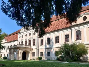 Dvorac Jankovic