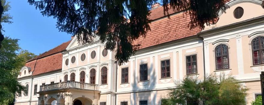 Dvorac Jankovic