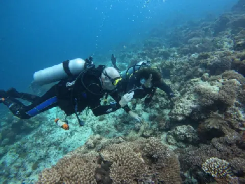 Zanzibar Extreme Water Sports