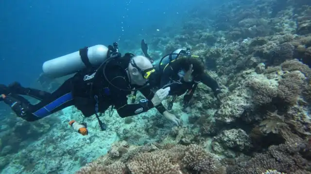 Zanzibar Extreme Watersports