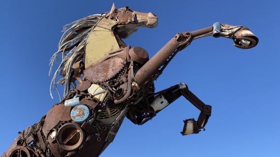 The Horse of Whitehorse