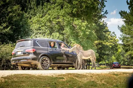 Hotels in Montgomery County