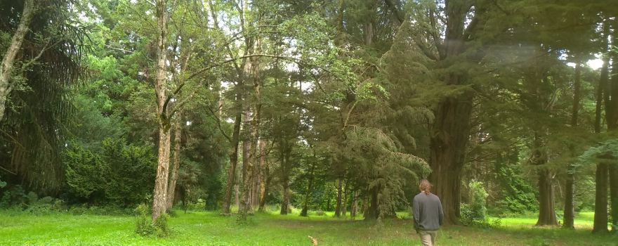 Alex McKenzie Memorial Arboretum
