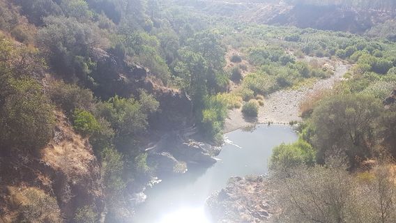 Canyon of the Angosturas