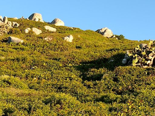 Praia Itapirubá (Norte)