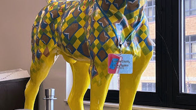 Cambria County Library