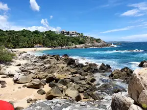 Coconuts Beach Club