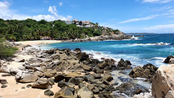 Coconuts Beach Club