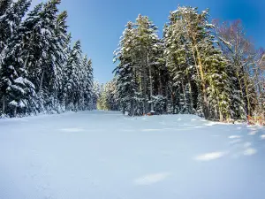 Ski Station Tylicz