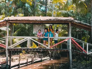 Casa Pastaninha