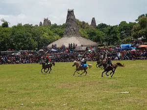 Lapangan Pasola Wainyapu