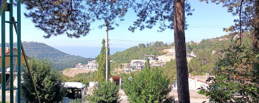 Kestaneci Piknik Alanı