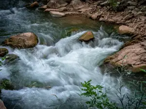 Kleidi Spot