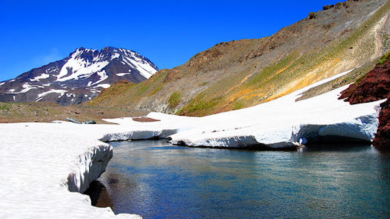 Ruta del Vino Valles de Curico