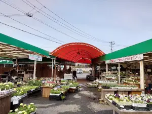 Yanai-engei