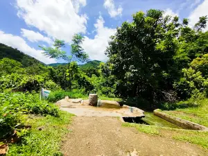 Suối Đập Đá