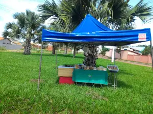 Parque Municipal Matinha