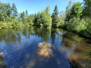Horseshoe Falls & Gift Shop