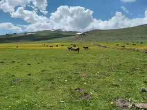 Kaleboynu Köyü Cami
