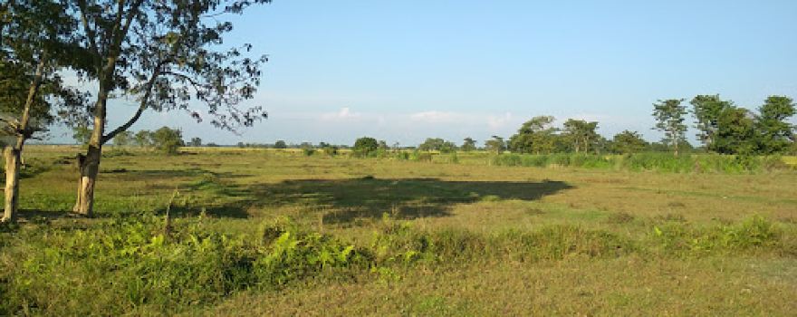 Rest Park