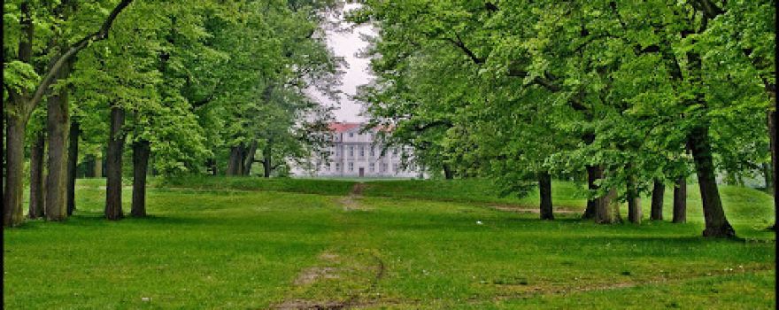 Park at the Bishops' Palace