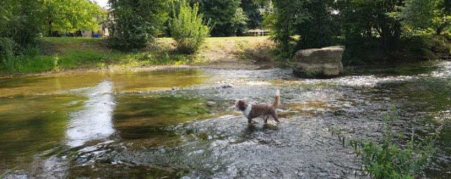 Le Camping Swin Golf