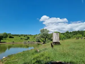 Lake Vrmdža