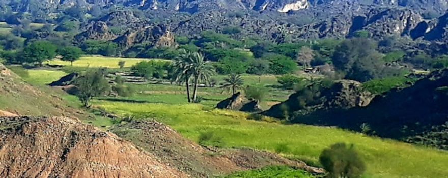 Sheikh Badin Hill
