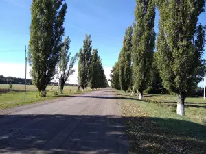 Gosudarstvennyy Prirodnyy Zakaznik Kamennaya Step'