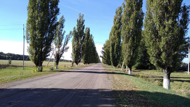 Gosudarstvennyy Prirodnyy Zakaznik Kamennaya Step'