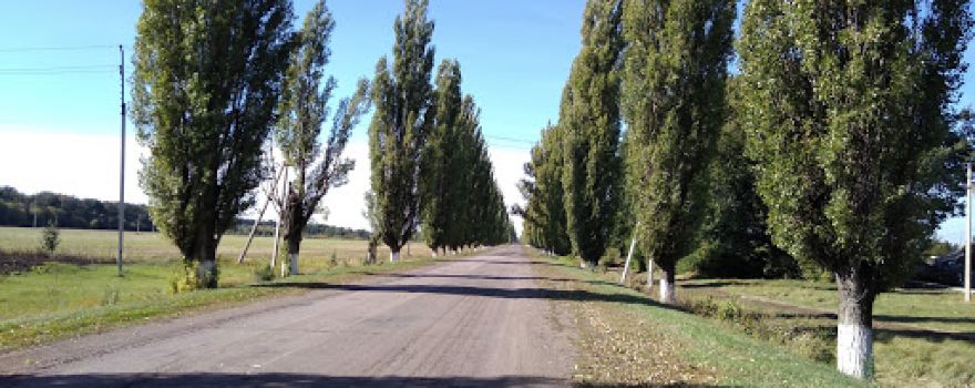 Gosudarstvennyy Prirodnyy Zakaznik Kamennaya Step'