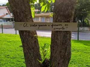 Bosque Carlos Gerd Schroeder