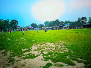 Putiajani Bazar Field