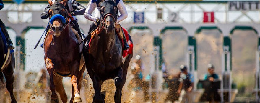 Del Mar Racing