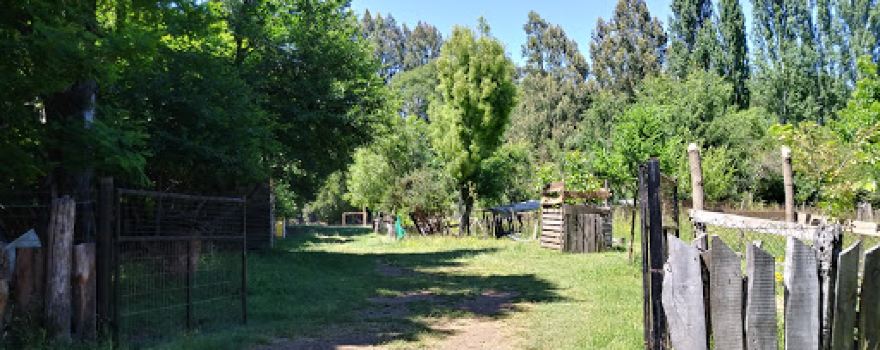 Camping Rincón Del descanso