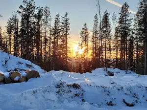 Nez Perce-Clearwater National Forest