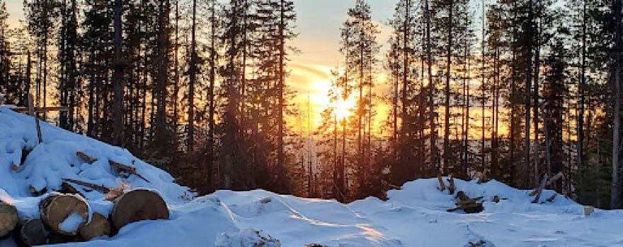 Nez Perce-Clearwater National Forest