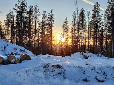 Nez Perce-Clearwater National Forest