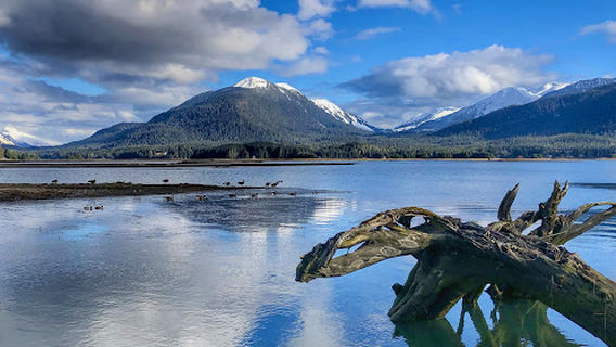 Mendenhall Refuge Trail