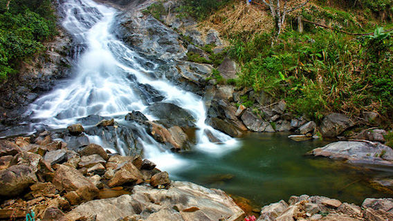 Ngoc Linh Nature Reserve