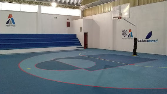Apizaco