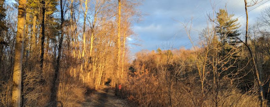 Rest Plaus O&W Rail Trail