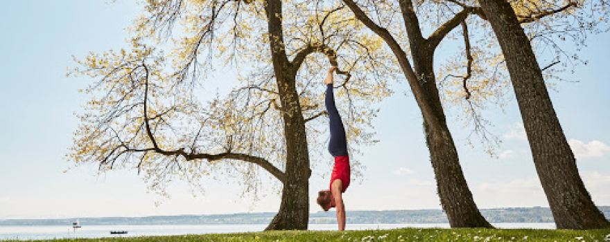 Bodensee Yoga & Coaching