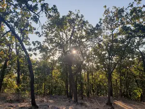 Priyadarshini Point, Pachmarhi
