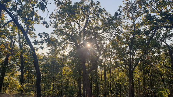 Priyadarshini Point, Pachmarhi