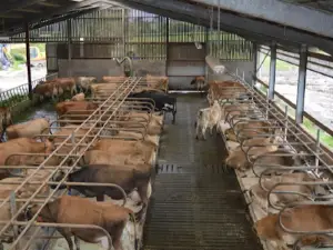 Farm