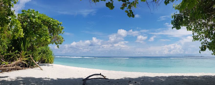 MZG Tropical Village
