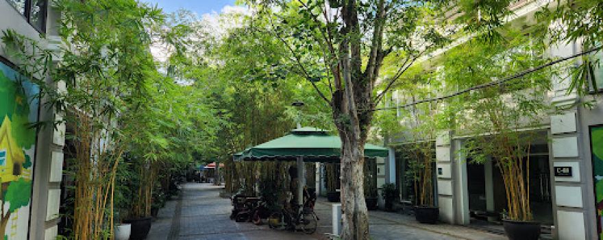 Rừng Cọ Ecopark